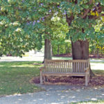 Design park bench